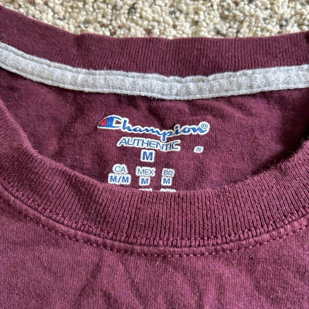 Champion Men's Maroon T-Shirt - Picture 2 of 3